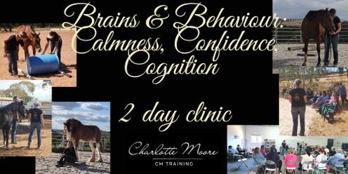 Brains & Behaviour: Calmness, Confidence, Cognition clinic