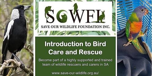 Introduction to Bird Care
