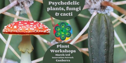 Psychedelic trees, fungi and cacti workshops, Canberra