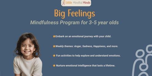 Little Mindful Minds - Big Feelings
