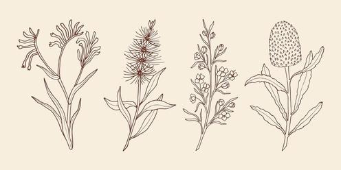 Nature's Intricacies: Drawing Native Plants