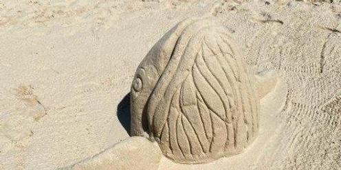 Sanctuary - a marine sand sculpture event