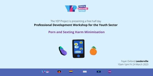 YEP Professional Development Session: Porn and Sexting - Harm Reduction