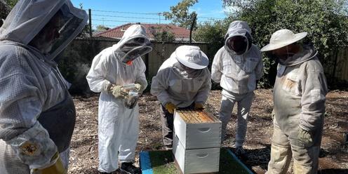 Cumberland Beekeepers Club - meet the varroa development officers