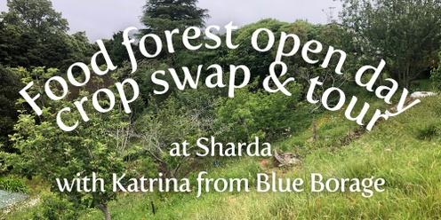 Food forest open day: crop swap & food forest tour at Sharda