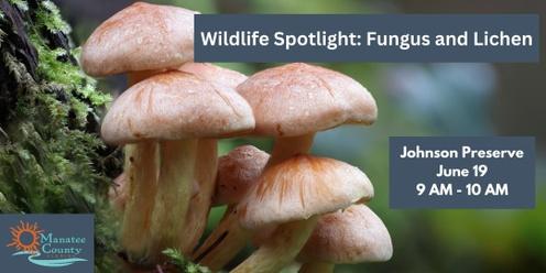 Wildlife Spotlight: Fungus and Lichen