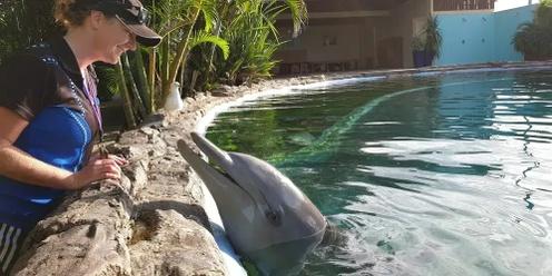 Dolphin marine conservation park excursion