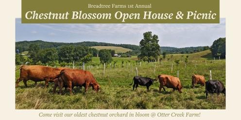 Chestnut Blossom Open House & Picnic