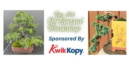 The Art Of Bonsai Workshop