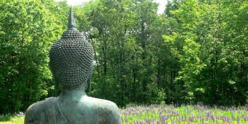 Walking the Buddha’s path to freedom: five-day study and practice retreat 2024