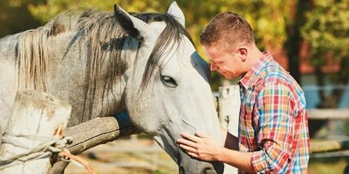 Equine Therapy: Intro to Equine 