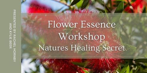  Natures Healing Secret - Flower Essence Workshops - 2nd April at Carpe Diem with Remi, Port Adelaide, SA.