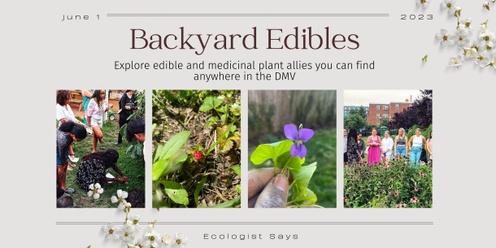 Backyard Edibles: Wild Plant Allies in the DMV