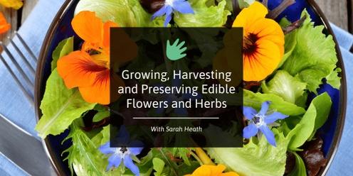 Growing, Harvesting & Preserving Edible Flowers and Herbs 🌼
