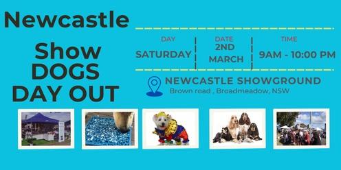 Newcastle  Dogs Day Out - Saturday @ Montgomery Homes Newcastle Show