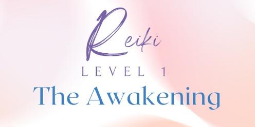 Reiki Level 1 - The Awakening