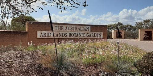 Walking Port Augusta: Australian Arid Lands Botanic Garden