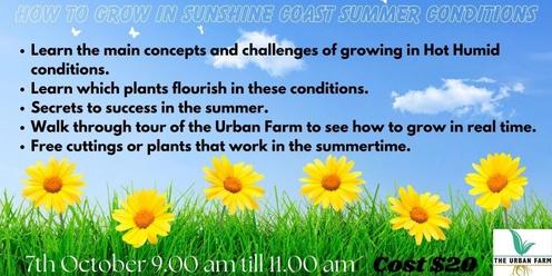 How to grow in the Sunshine Coast Summer Condition