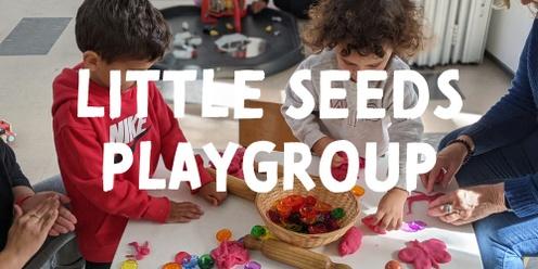Little Seeds Playgroup