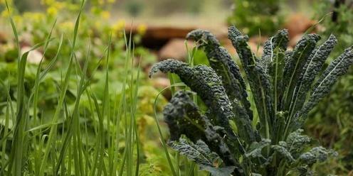 Organic Vegetable Gardening 