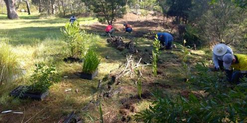 Community Tree Planting on Stonequarry Creek 