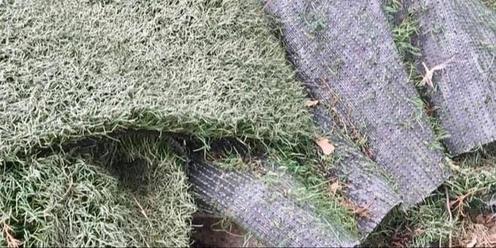 Artificial Grass - A Cause for Concern