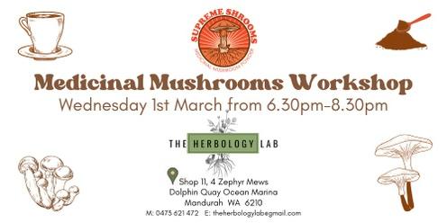 Medicinal Mushrooms Workshop at The Herbology Lab
