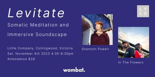 "Levitate" Somatic Meditation and Immersive Soundscape (Hosted by Wombat)