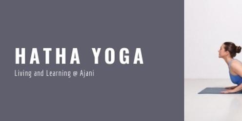 Hatha Yoga (Monday morning) (Term 4 2023)