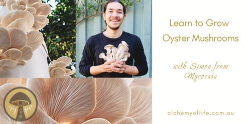 Learn to Grow Oyster Mushrooms in an upcycled container