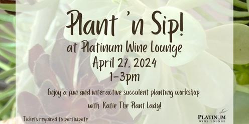 Plant 'n Sip at Platinum Wine Lounge!