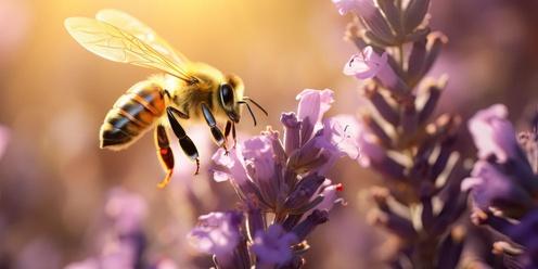 Powerful Pollinators 