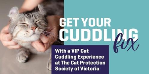 Cat Cuddling VIP Experience  (Summer 2023)