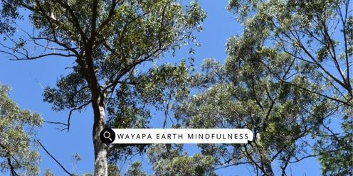 Wayapa Wuurrk Earth Mindfulness Program