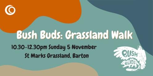 Bush Buds: Grassland Walk 