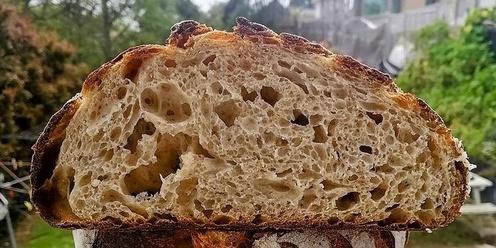 Sourdough Bread Basics (Thu)