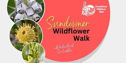 Sundowner Wildflower Walk with Sue Leighton 