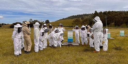 Tasmanian Junior Beekeepers January Session