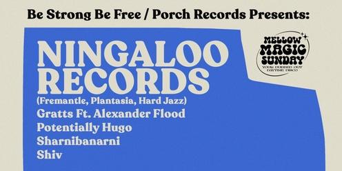 Mellow Magic Sunday w/ Ningaloo Records