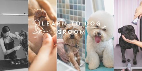 6 Day intensive Dog Grooming Course
