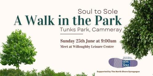 Soul to Sole - A Walk in the Park