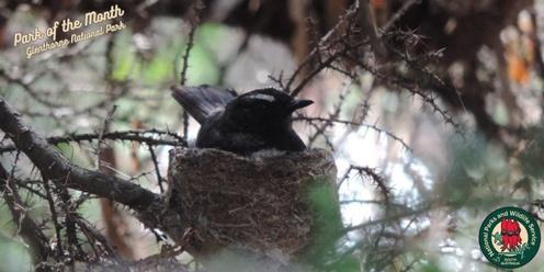 Birds for Beginners at Glenthorne National Park – Ityamaiitpinna Yarta (O'Halloran Hill Section)