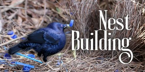 Nest Building