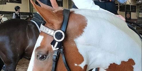 April, Aussie Obstacles & Horsemanship Mini Challenge