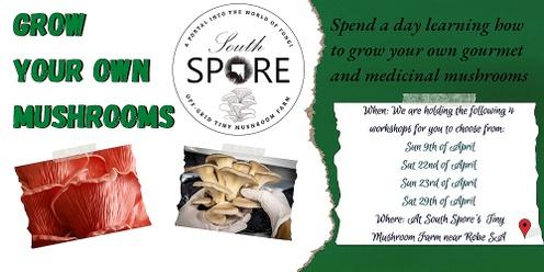Grow your own mushrooms- Workshop 9th April