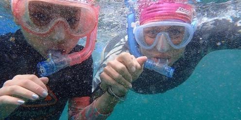 Snorkelling at Clovelly for Beginners