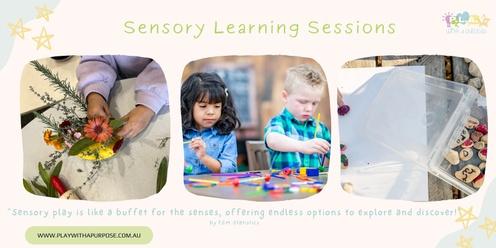 Toddler & Preschool Sensory Learning Sessions 