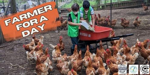 Farmer For a Day!