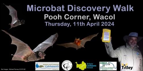 Microbat Discovery Walk at Pooh Corner Bushland Reserve