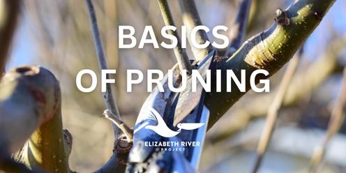 Basics of Pruning